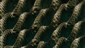 rick-rothenberg-Ih4tXZrOkMI-unsplash rick-rothenberg-Ih4tXZrOkMI-unsplash